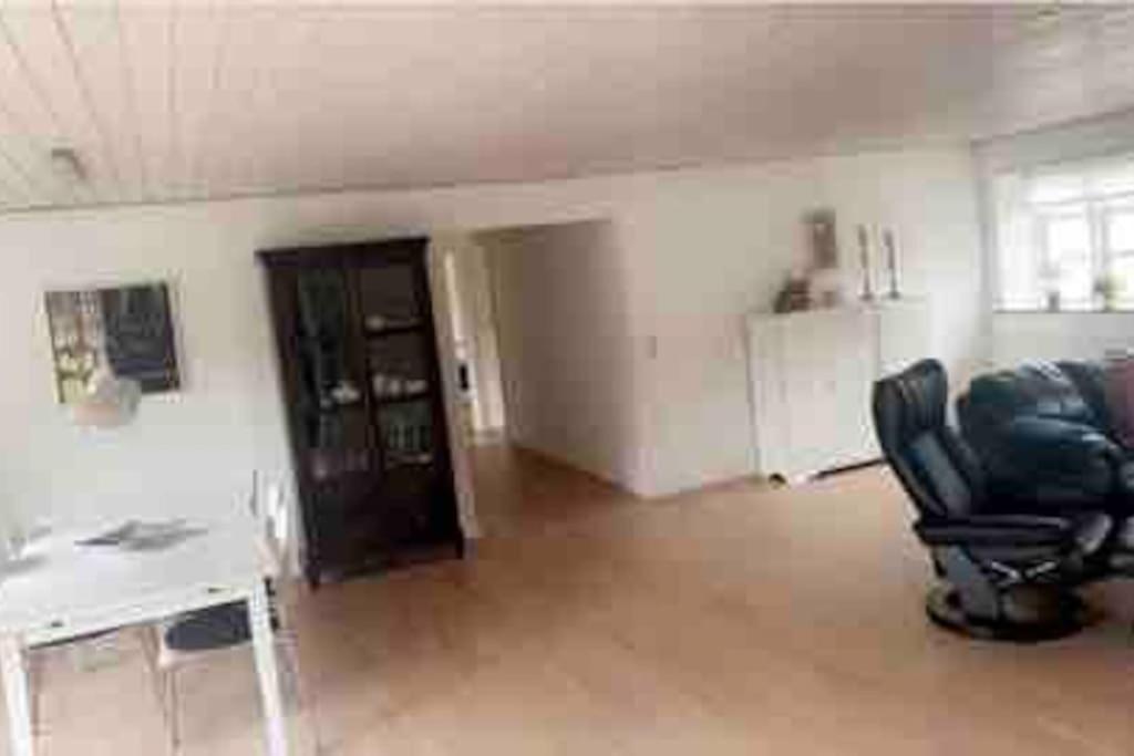 Dejligt Stort Hus Med Spa Aalbaek Luaran gambar
