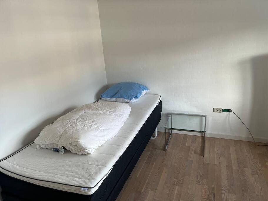 Dejligt Stort Hus Med Spa Aalbaek Luaran gambar